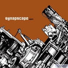 Synapscape - Again