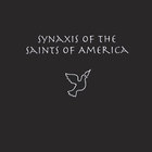 Synaxis of the Saints of America - Synaxis of the Saints of America