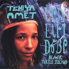 Tchiya Amet - Black Turtle Island