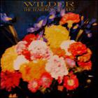 Teardrop Explodes - Wilder