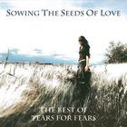 Tears for Fears - Sowing The Seeds Of Love The Best Of