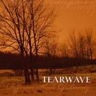 Tearwave - Different Shade Of Beauty