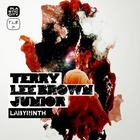 Terry Lee Brown Jr. - Labyrinth