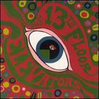 The 13th Floor Elevators - The Psychedelic Sounds
