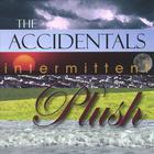 The Accidentals - Intermittent Plush