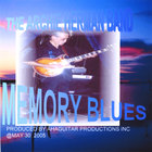 THE ARCHIE HERMAN BAND - Memory Blues