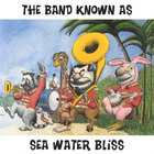 The band known as Sea Water Bliss