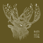 Bats - Red In Tooth & Claw