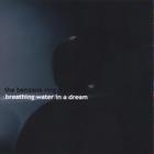 The Benzene Ring - Breathing Water in a Dream