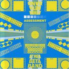 The Beta Band - Assessment