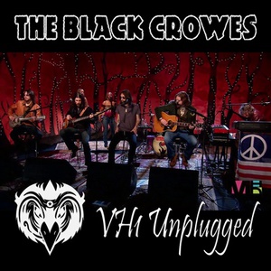 VH1 Unplugged