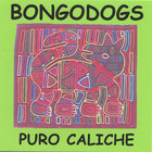 The Bongodogs - Puro Caliche
