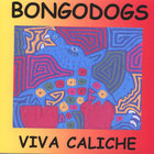 The Bongodogs - Viva Caliche