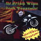 The Brian Wilson Shock Treatment - Shockibus Eruptum
