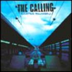 The Calling - Camino Palmero (Bonus - Adrienne)