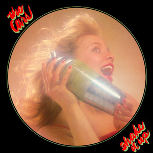 Shake it Up (Vinyl)