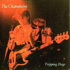 The Chameleons - Tripping Dogs