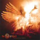 The D project - Shimmering lights