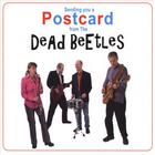 The Dead Beetles - Sending You a Postcard From the Dead Beetles