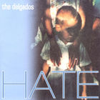 THE DELGADOS - Hate