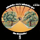 The Dramatics - Whatcha See Is Whatcha Get (LP