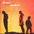 The Dream Academy - A Different Kind of Weather