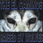 The El Caminos - Raised By Wolves