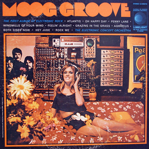 Moog Groove