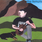 the femurs - the femurs