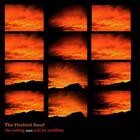 The Firebird Band - The Setting Sun & Its Satellites Reissue