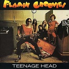 The Flamin' Groovies - Teenage Head (Vinyl)