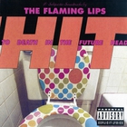 The Flaming Lips - Hit To Death In The Future Head