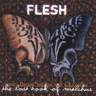 The Flesh - The Lost Book Of Malchus