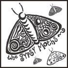 The Gypsy Moths - Live on KBOO '04
