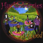 The Huckleberries - Jigweed