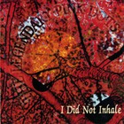 The Legendary Pink Dots - I Did Not Inhale
