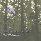 The Mutineers - Where Mockingbirds Roam
