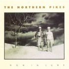 The Northern Pikes - Snow In June