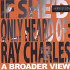 The Opposition - If She'd Only Heard of Ray Charles