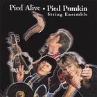 The Pied Pumkin String Ensemble - Pied Alive