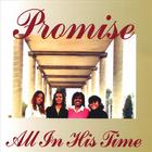 The Promise - All In His Time