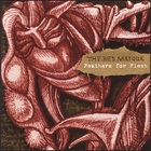 The Red Masque - Feathers for Flesh