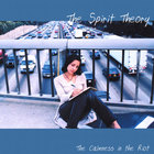 The Spirit Theory - The Calmness in the Riot