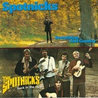 The Spotnicks - Back In The Race & Something Like Country
