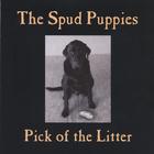 The Spud Puppies - Pick of the Litter