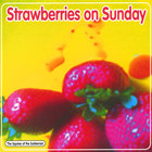 The Squires Of The Subterrain - Strawberries on Sunday