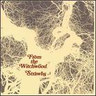 Strawbs - From The Withcwood