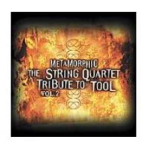 Metamorphic: The String Quartet Tribute To Tool Vol. 2