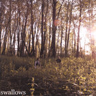The Swallows - Me With Trees Towering