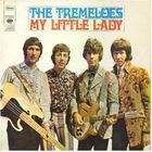 The Tremeloes - My Little Baby